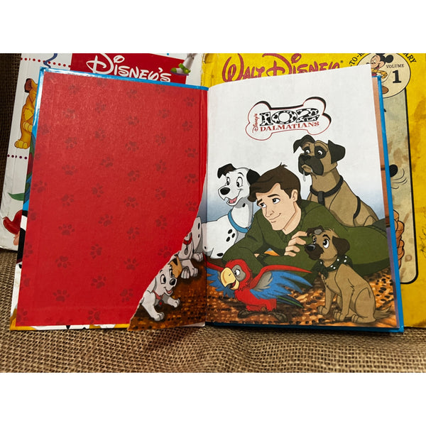 Bundle of 13 Childrens Books AA MIlne, Fairy School, Dr. Seuss, Disney, Teddy Ruxpin, Clifford, & More